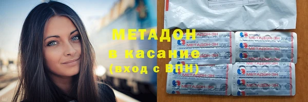 прущие грибы Тольятти