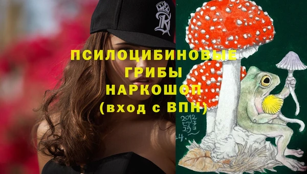 apvp Кодинск