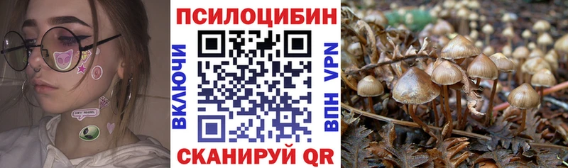 мега как войти  как найти закладки  Курган  Псилоцибиновые грибы Cubensis 