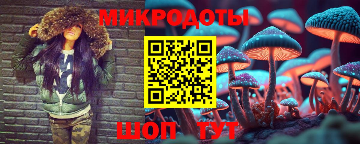 Псилоцибиновые грибы Psilocybine cubensis Курган