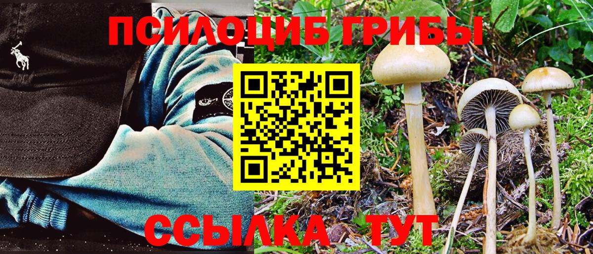 Галлюциногенные грибы Psilocybine cubensis  Вход с VPN  Курган  Псилоцибиновые грибы MAGIC MUSHROOMS 