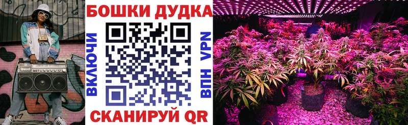 как найти наркотики  Курган  Канабис Bruce Banner 